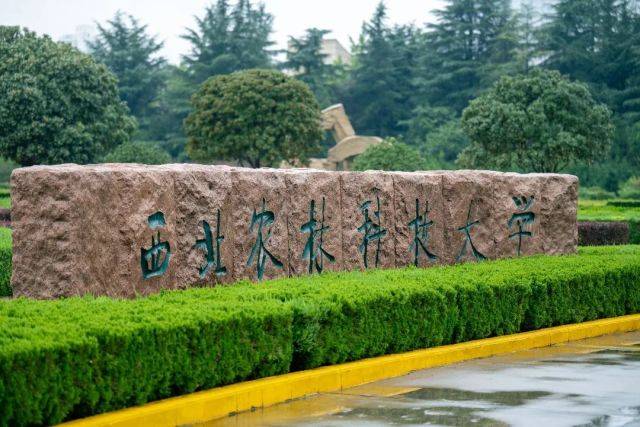 西北农林科技大学(西北农林科技大学强基计划招生简章)