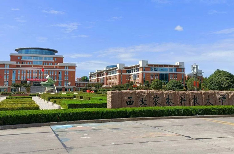 西北农林科技大学(西北农林科技大学强基计划招生简章)