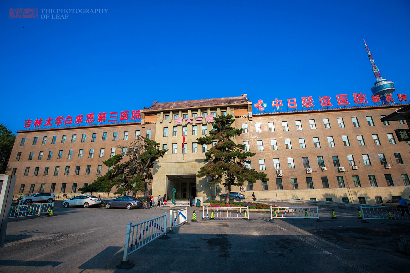 吉林大学文凭(吉林大学文凭的弊端与优势)