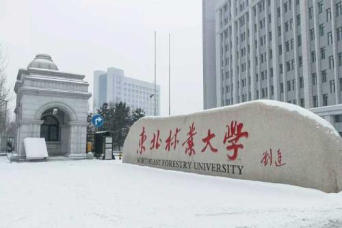东北林业大学文凭(东北林业大学毕业证的样本和图片)