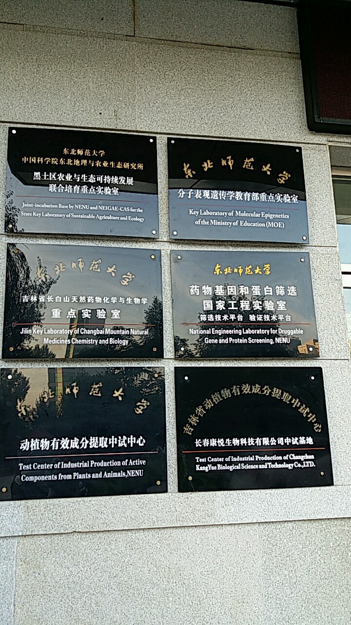 东北师范大学毕业登记表